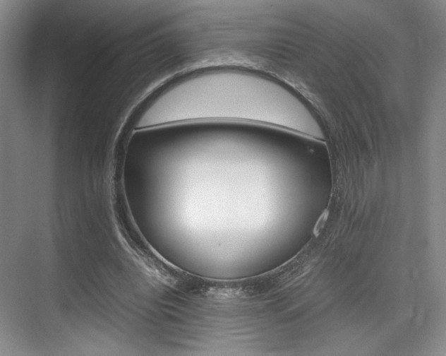 X0000075360440200609080843