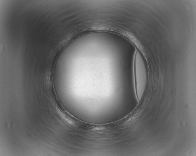 X0000075360441200609080843