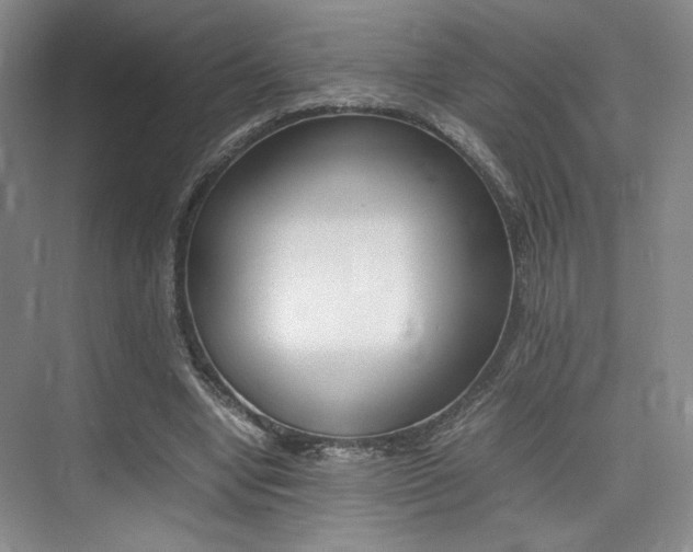 X0000075360442200609080843