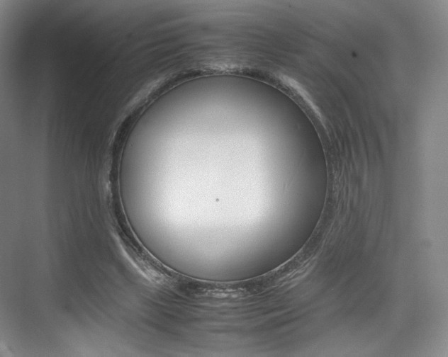 X0000075360443200609080843
