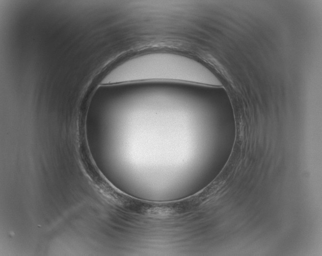 X0000075360444200609080843