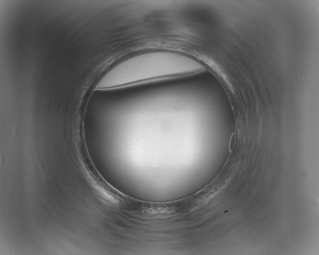 X0000075360445200609080843