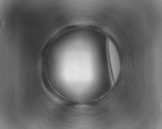 X0000075360448200609080843