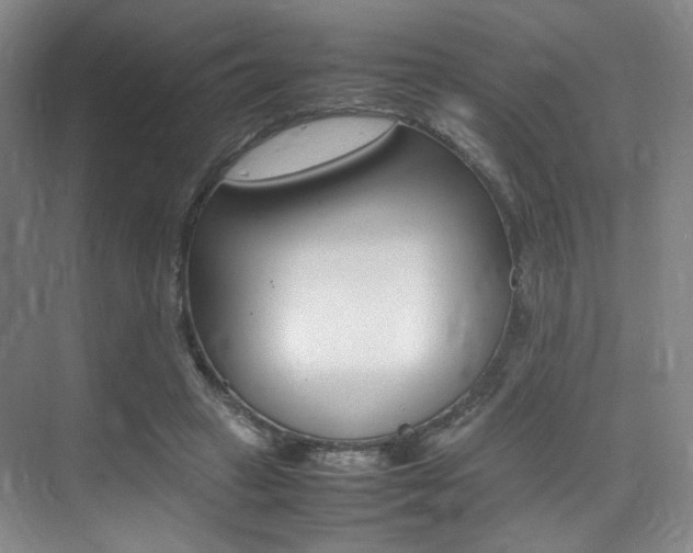 X0000075360449200609080843