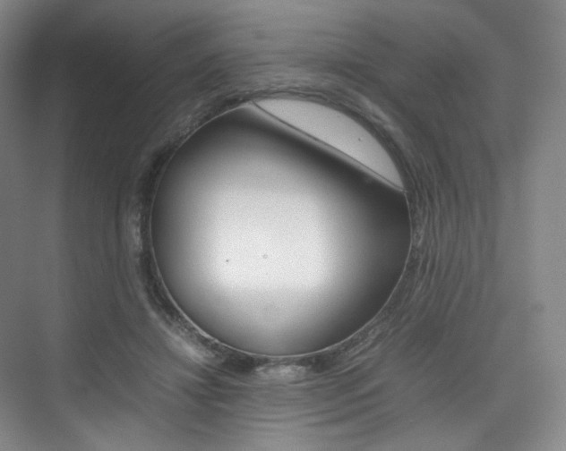X0000075360452200609080843