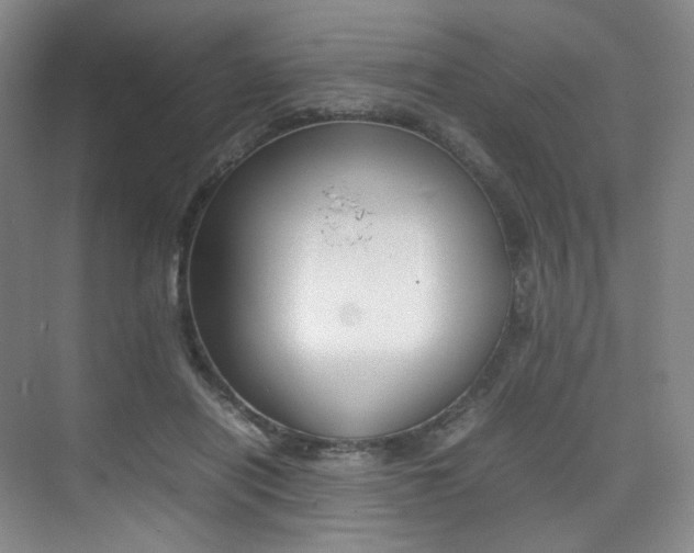 X0000075360454200609080843