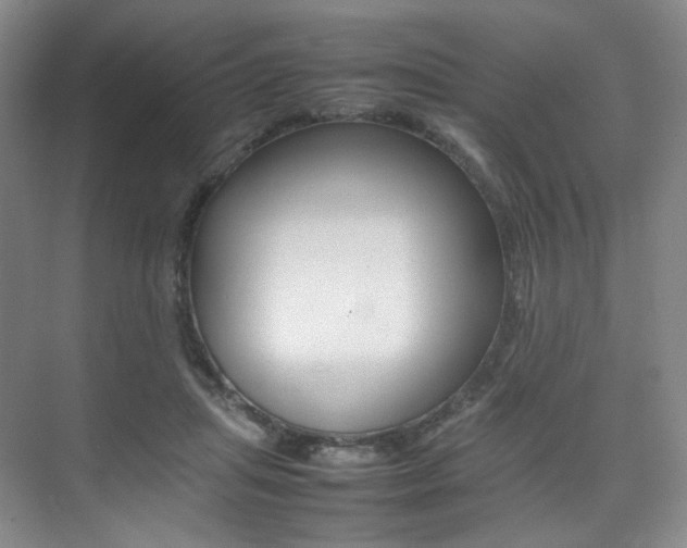 X0000075360455200609080843