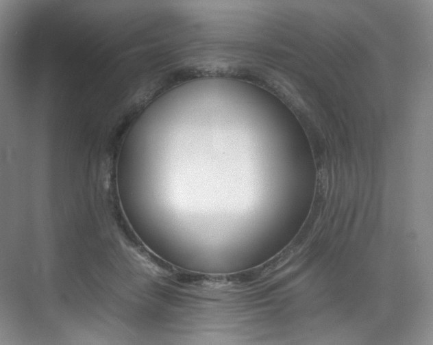 X0000075360458200609080843
