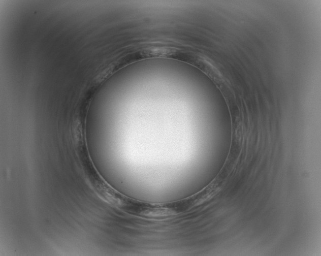 X0000075360459200609080843