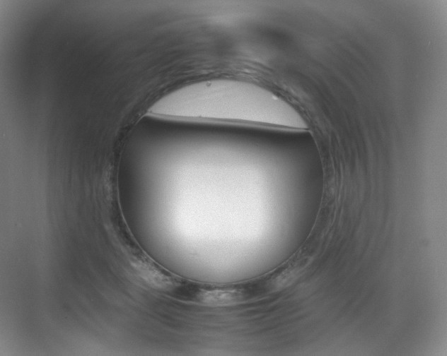 X0000075360461200609080843