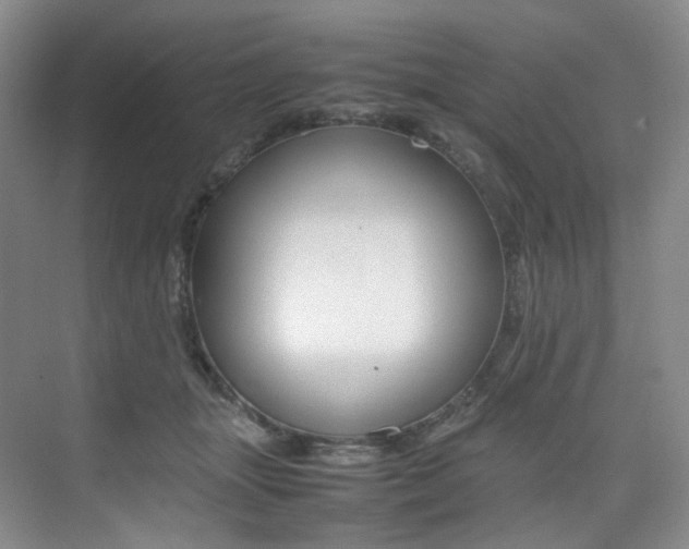 X0000075360463200609080843