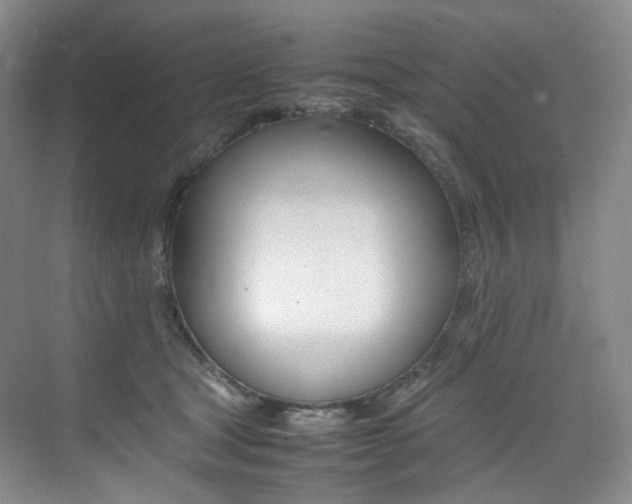 X0000075360465200609080843