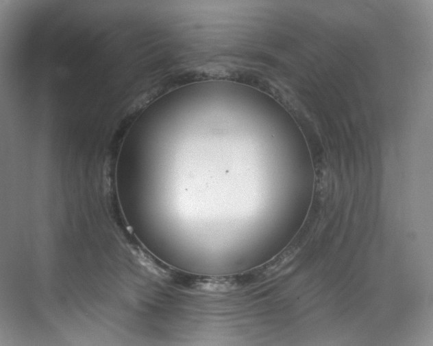 X0000075360466200609080843