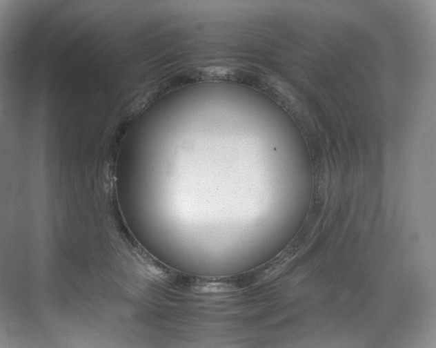 X0000075360467200609080843