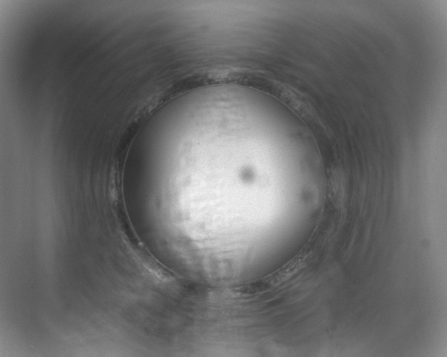 X0000075360470200609080843
