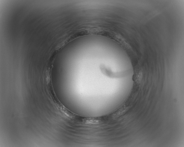 X0000075360471200609080843