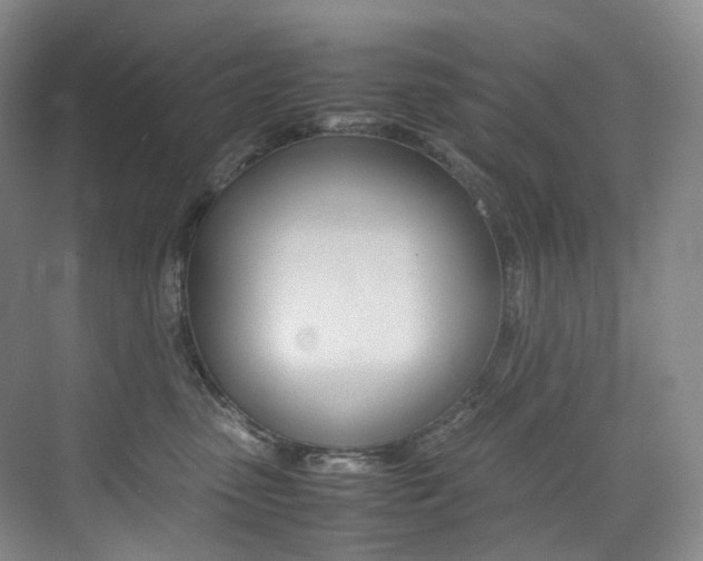 X0000075360475200609080843