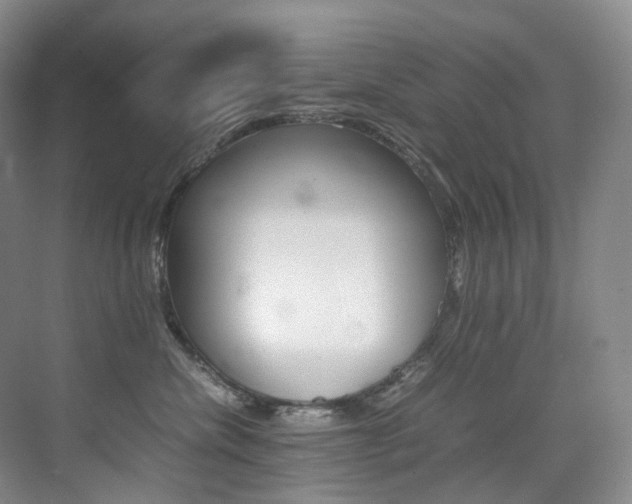 X0000075360476200609080843