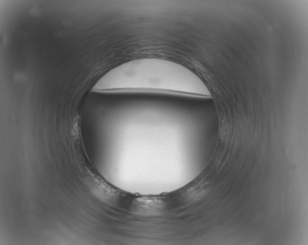 X0000075360477200609080843
