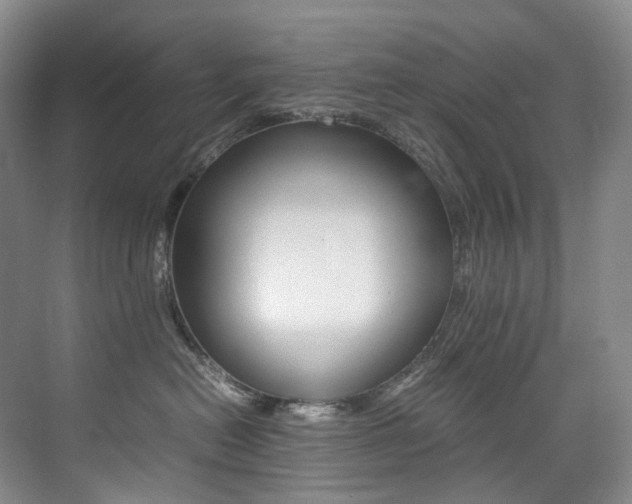 X0000075360478200609080843