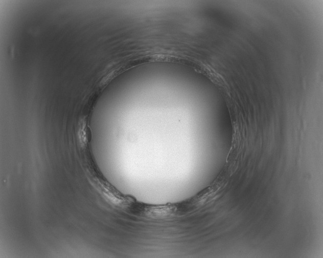 X0000075360479200609080843