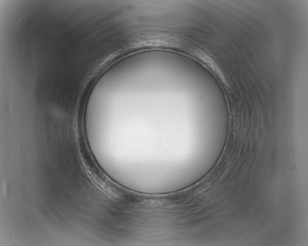 X0000075360482200609080842
