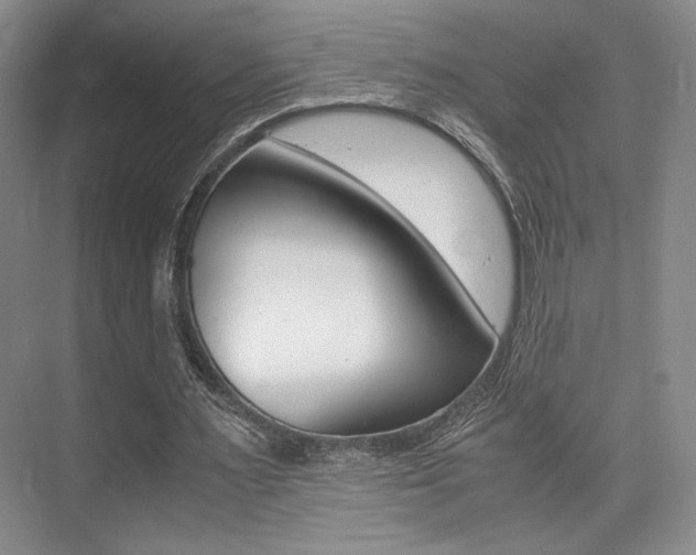 X0000075360483200609080842