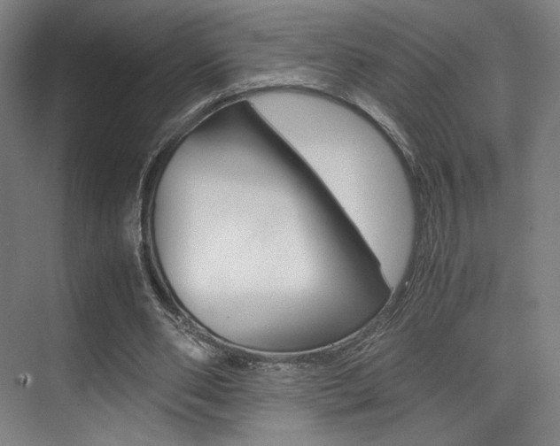 X0000075360486200609080842