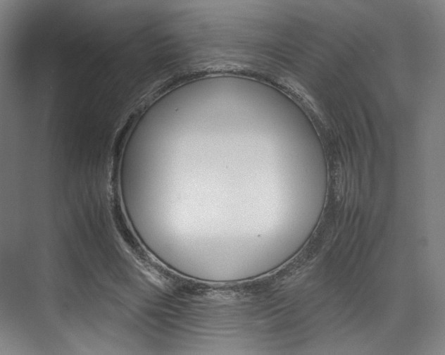 X0000075360490200609080842