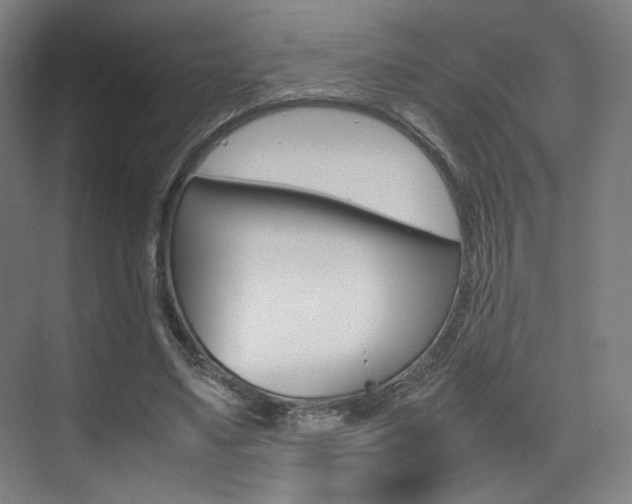 X0000075360491200609080842