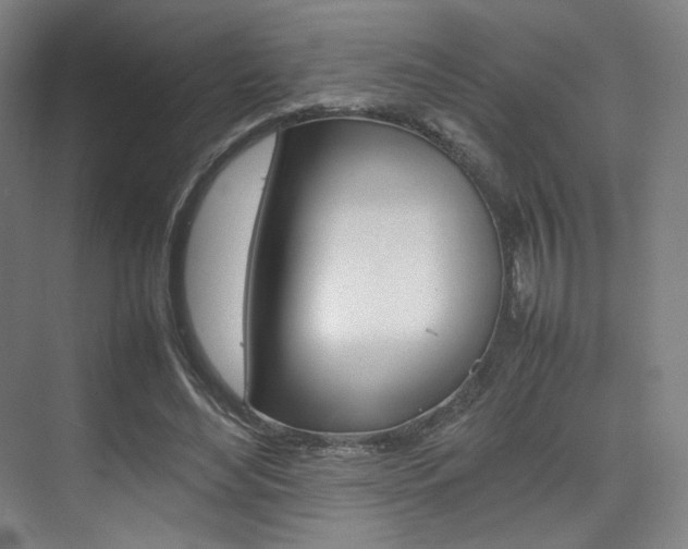X0000075360492200609080842