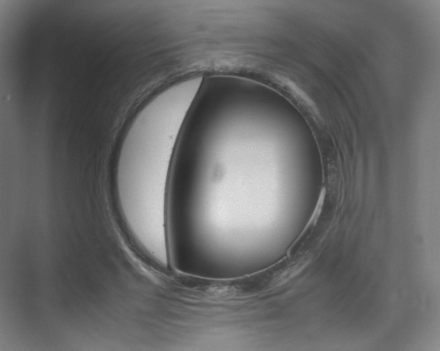 X0000075360493200609080842