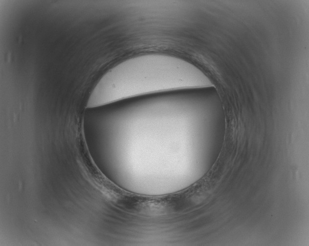 X0000075360498200609080842