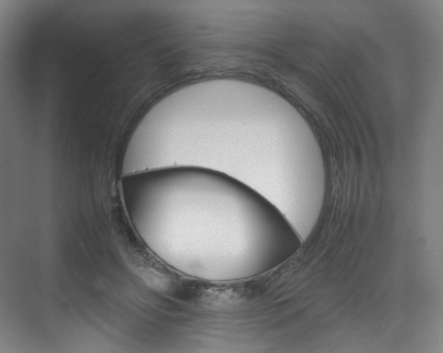 X0000075360502200609080842
