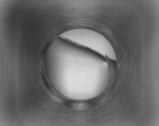 X0000075360503200609080842