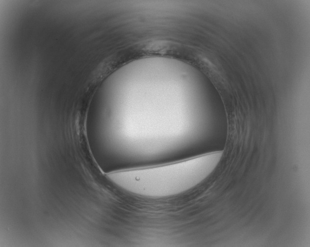 X0000075360504200609080842