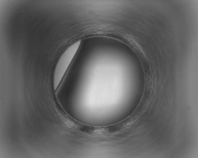 X0000075360505200609080842