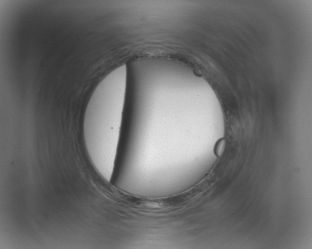 X0000075360507200609080842