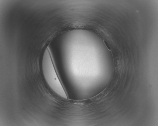 X0000075360508200609080842