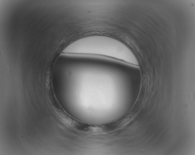 X0000075360509200609080842