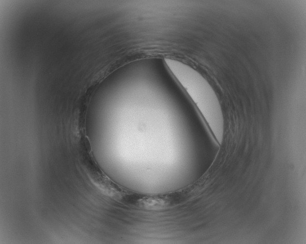 X0000075360512200609080842