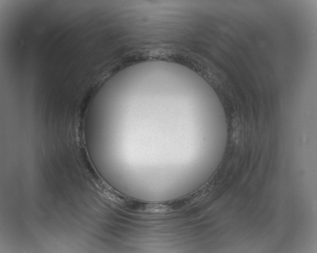X0000075360514200609080842