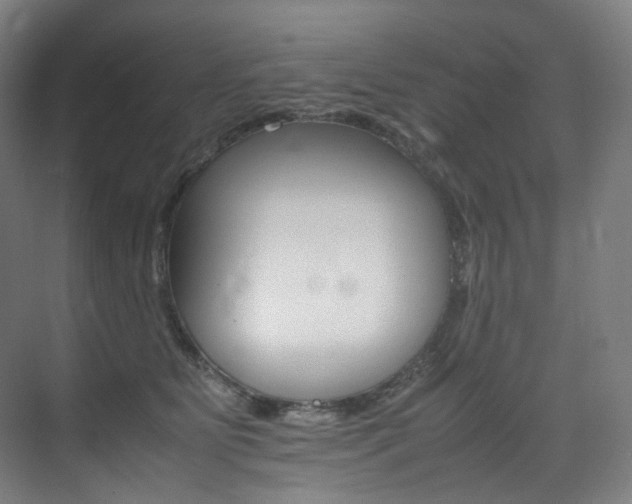X0000075360515200609080842