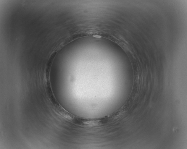 X0000075360516200609080842