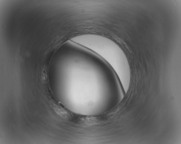 X0000075360517200609080842