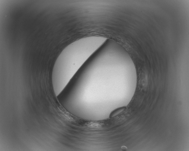 X0000075360518200609080842