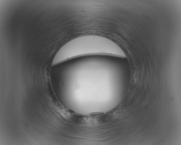 X0000075360520200609080842