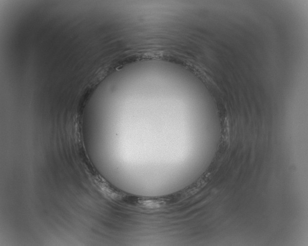 X0000075360522200609080842