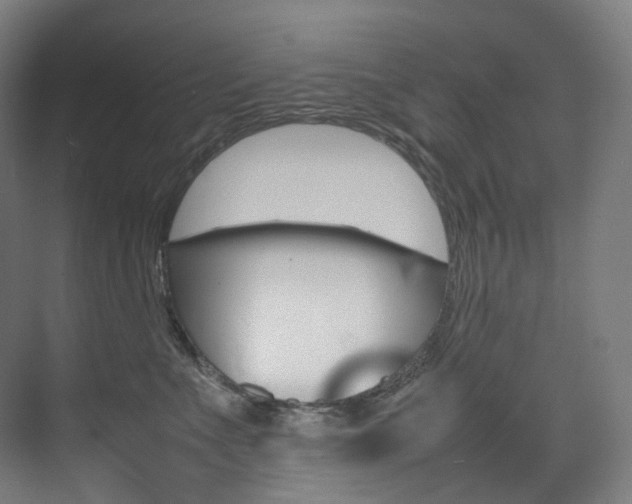 X0000075360523200609080842