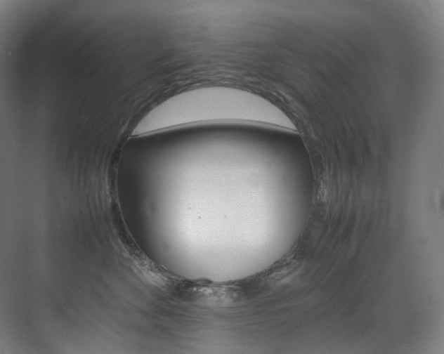 X0000075360524200609080842